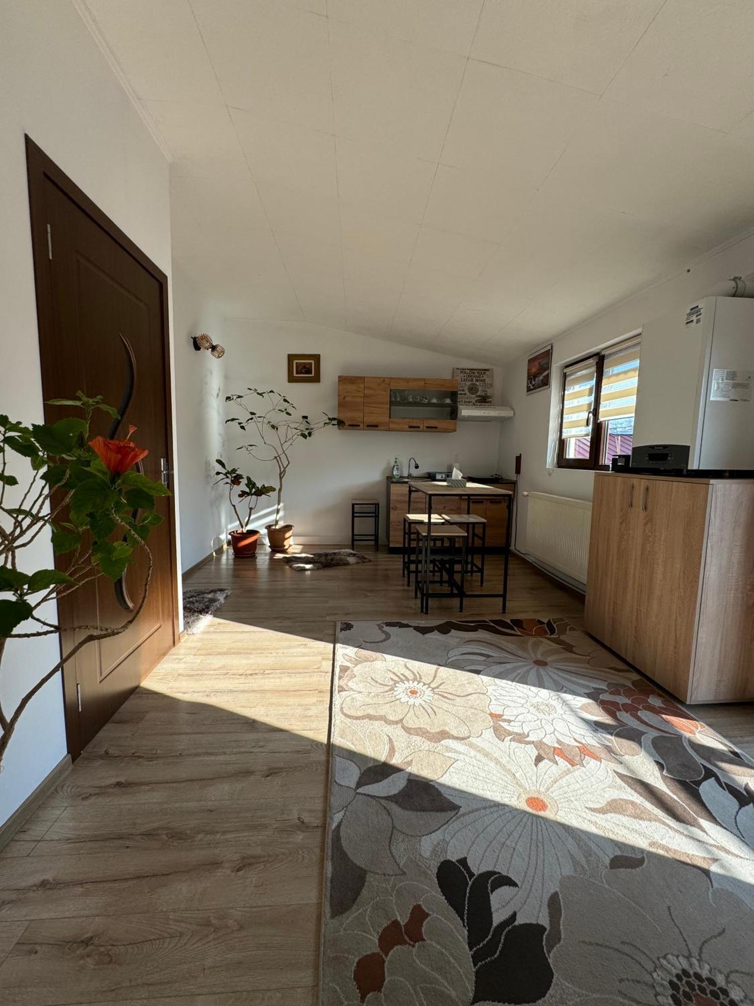 Victor Residence 38 Bucureşti Eksteriør bilde