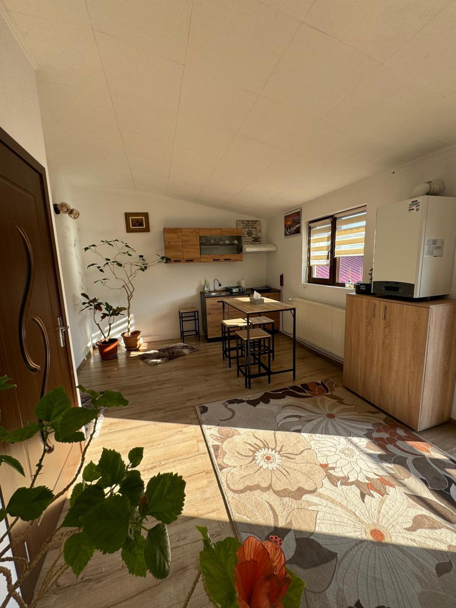 Victor Residence 38 Bucureşti Eksteriør bilde